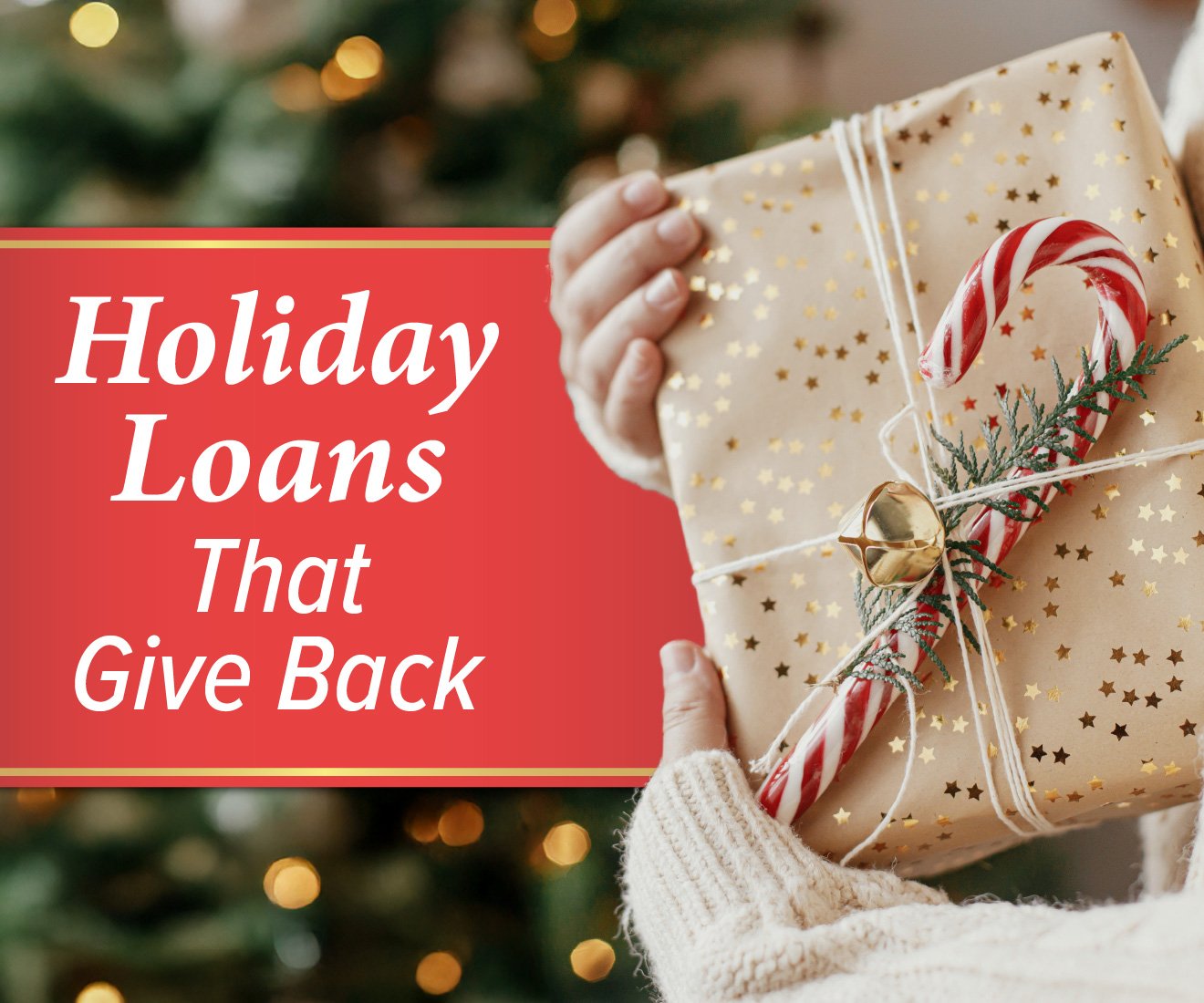 1320x1100_HolidayLoan