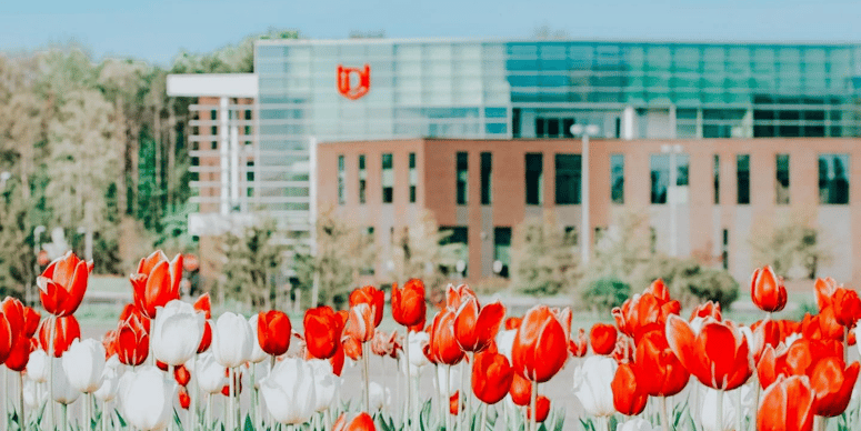 flowers at davenport 
