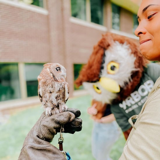 Arbor mascot at raptor center.