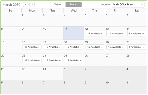 Select an appointment from the calendar.