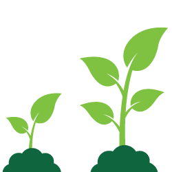 CD growth Icon
